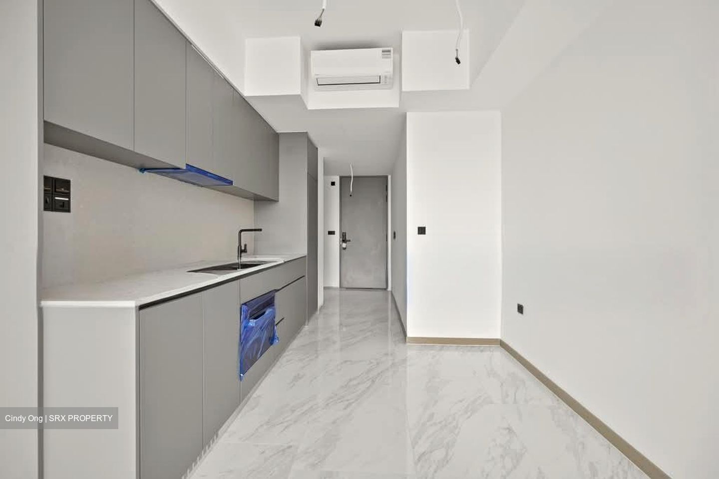 The Landmark (D3), Condominium #555605861